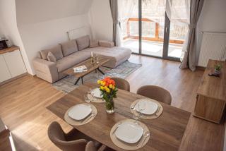 Yael Luxury Apartments 5 - Buşteni - 9