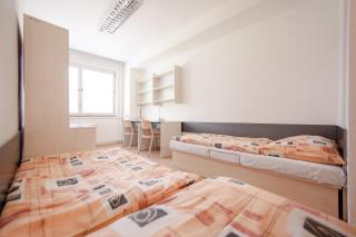 GProoms – Purkyňovy koleje - Brno - 8