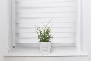 City-Centre 2-Bedroom Apt - Free Parking & Wi-Fi - 5