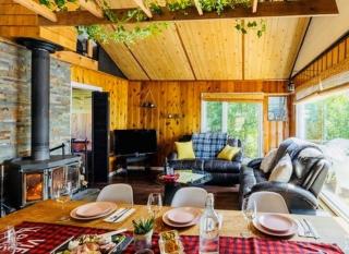 Zenitude 2, Beachfront chalet, hot tub,Lac Simonet - Saint-André-Avellin - 4