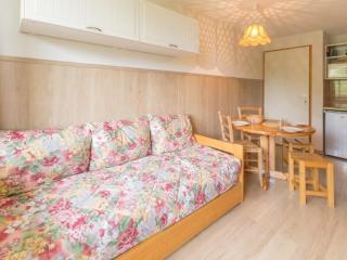 Studio lumineux · Ski aux pieds · Balcon privé - FR-1-181-2454 - Aime-la-Plagne - 9