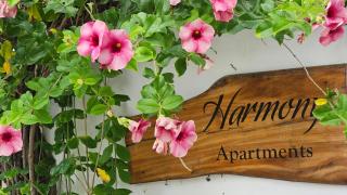 Harmony Self-Catering Apartments - Beau Vallon - 9