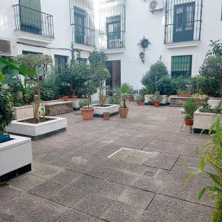 Lullaby apartment - Sevilla - 3