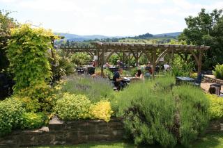 The Castle Hotel - 7