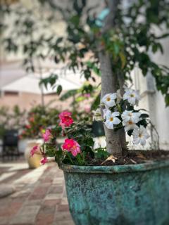 La Maison Derrière - Tropea - 7