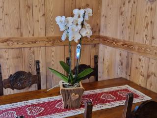 La Maison Des Coeurs, Cogne - Cogne - 6