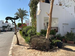 Delta Sharm Resort - Sharm El Sheikk - 2