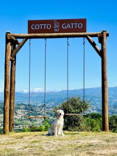 Hotel Cotto do Gatto - 3
