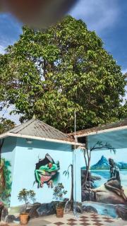 JUNGLE VALLEY AYURVEDIC SPa RESORT - Meppādi - 4