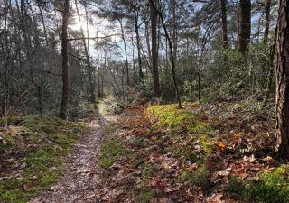 Vila Norg - Norg - 6
