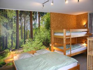 Bedecked Holiday Home in Vielsalm with Sauna - Vielsalm - 7