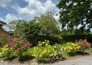 Squirrel Hollow - Datchet - 7