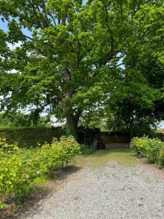 Squirrel Hollow - Datchet - 3