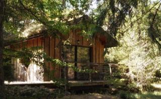 Chalet toit vegétalisé - Champfromier - 0
