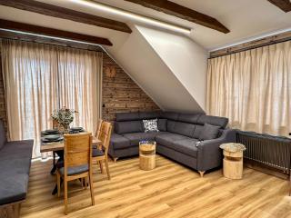 Wellness apartmány BARTH Holiday - Dolní Morava - 1