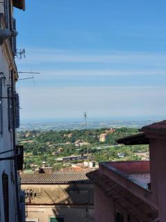 Panoramic apartment - Ariccia centro - Ariccia - 7
