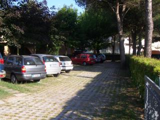 Fenice - Bibione - 1