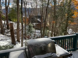 BearHavencabinfun 3 story Log Cabin Mountain View,Hot Tub, sleeps 10 - 3