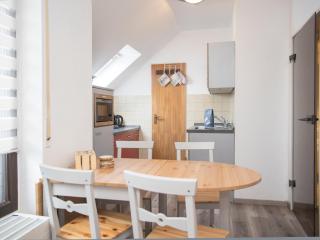 Welcome in - Appartement Feldstrasse 48-K, 100m van de skipiste, skiberging en balkon - Winterberg - 1