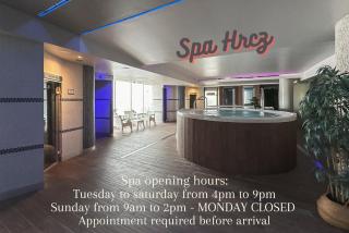 Hotel & Spa Real Ciudad De Zaragoza - Saragozza - 8