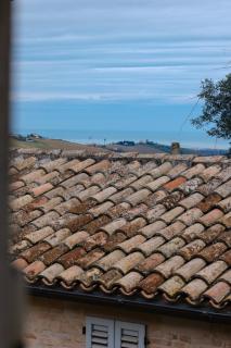 La Casa di Vina - Fermo - 6