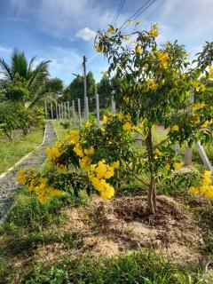 mountain view fishing sport & homestay - Sa Kaeo - 6
