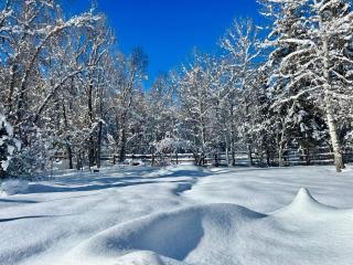 Large Family Cabin Near Park City - Kamas - 5
