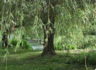 Maison de campagne au bord d'une rivière avec piscine - 8
