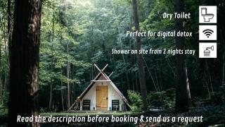 Cabane et Lodge by Lyon Country House - 9