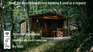 Cabane et Lodge by Lyon Country House - 8