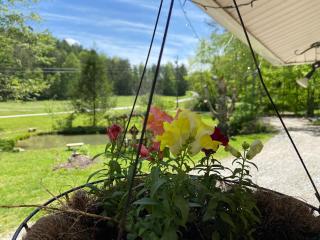 Misty Mountain Inn - 9