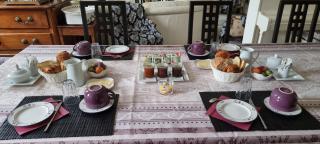 Bergerac Chambre d'hôte oiseaux de paradis - 5