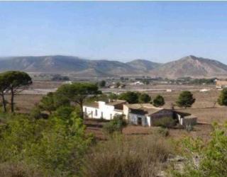 Miramontes - Villena - 0