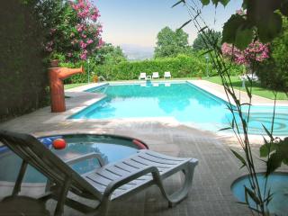 Charming Villa in Pedraça with Shared Pool - Pedraça - 0