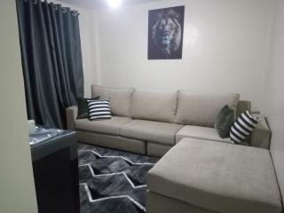 Modern furnished one bedroom unit near the airport - 8