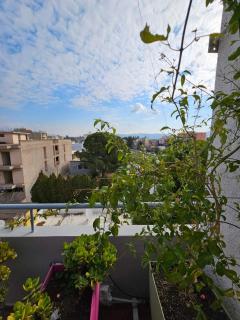 Terrazza 14, Elefsina - Eleusis - 8