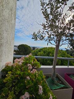 Terrazza 14, Elefsina - Eleusis - 7