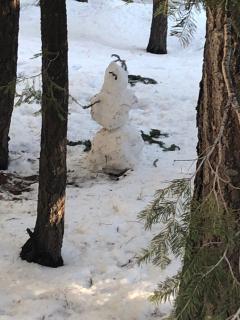 Cozy 3 bedroom home in Tahoe Donner - 2