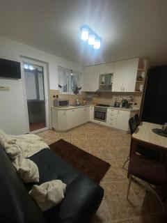 Liza Apartament - Cluj-Napoca - 7