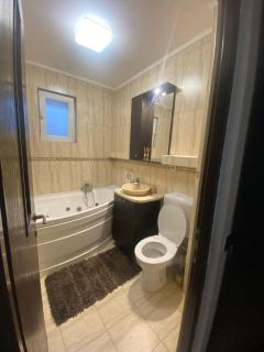 Liza Apartament - Cluj-Napoca - 5