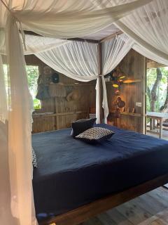 Cabana na mata - Trancoso - Trancoso - 2