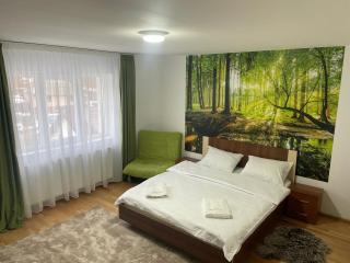 Casa Ceteras - Cavnic - 6