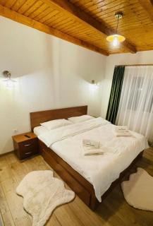 Casa Ceteras - Cavnic - 8