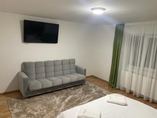 Casa Ceteras - Cavnic - 5