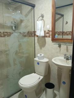 Hotel Aeropuerto ZF - Rionegro - 7
