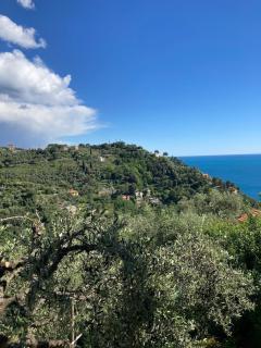 Casa Margherita parking - Zoagli - 6