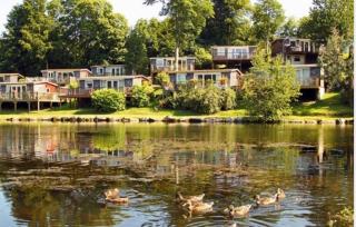 Crib Goch Cozy Dog-friendly Cabin Retreat - Caernarfon - 4