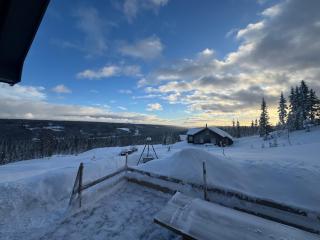 Ny moderne hytte i Aust-Torpa - 6