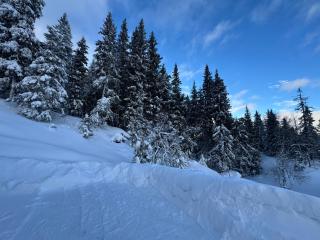 Ny moderne hytte i Aust-Torpa - 7