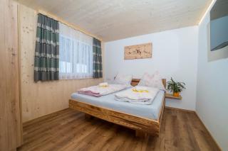 Landhaus Biermeier Chalet - Sankt Gallenkirch - 1